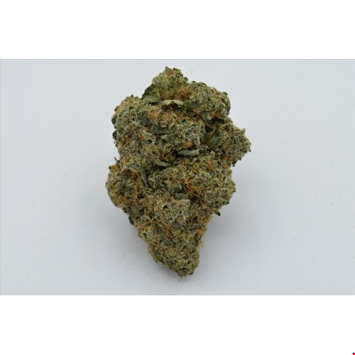 Honey Lemon Cheese (Hybrid) - SALE 1 OZ $80